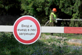 Посещать леса в Светлогорском районе запрещено